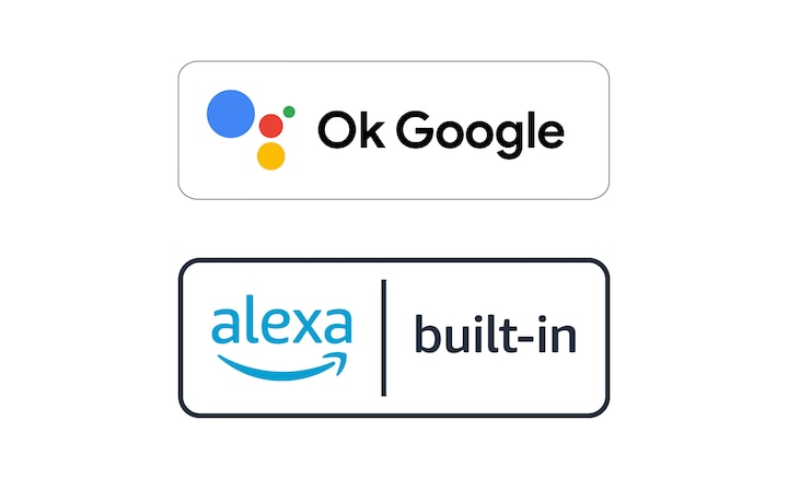 Logos for Ok Google and Alexa built-in
